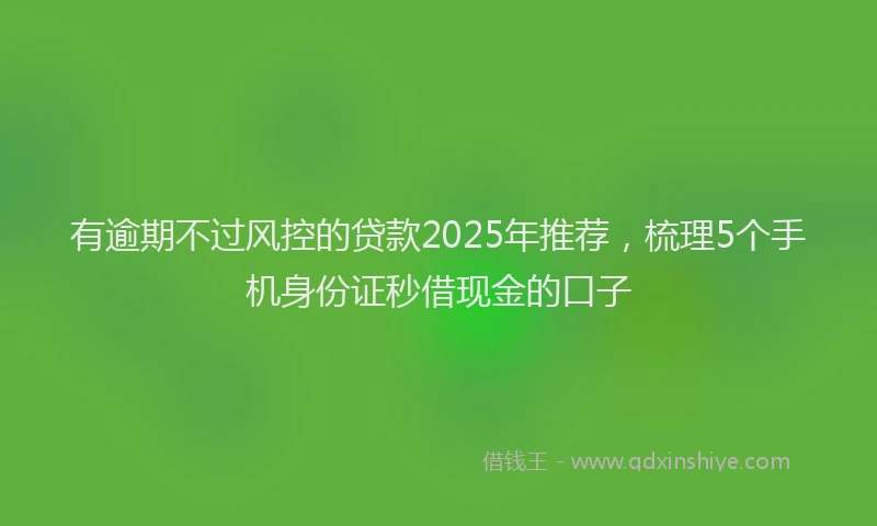 有逾期不过风控的贷款2025年推荐，梳理5个手机身份证秒借现金的口子