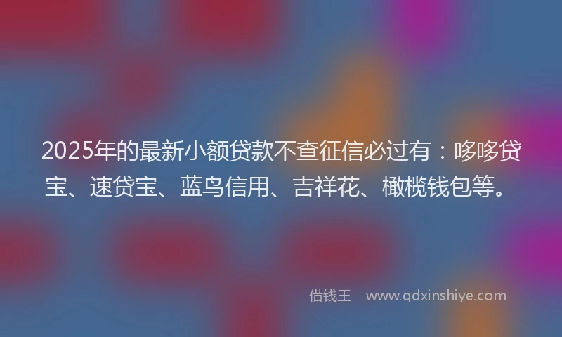 2025年的最新小额贷款不查征信必过有：哆哆贷宝、速贷宝、蓝鸟信用、吉祥花、橄榄钱包等。