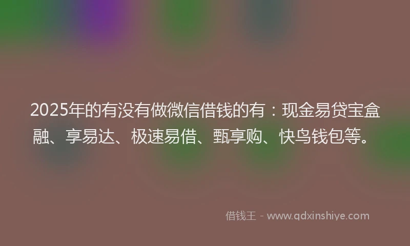 2025年的有没有做微信借钱的有：现金易贷宝盒融、享易达、极速易借、甄享购、快鸟钱包等。