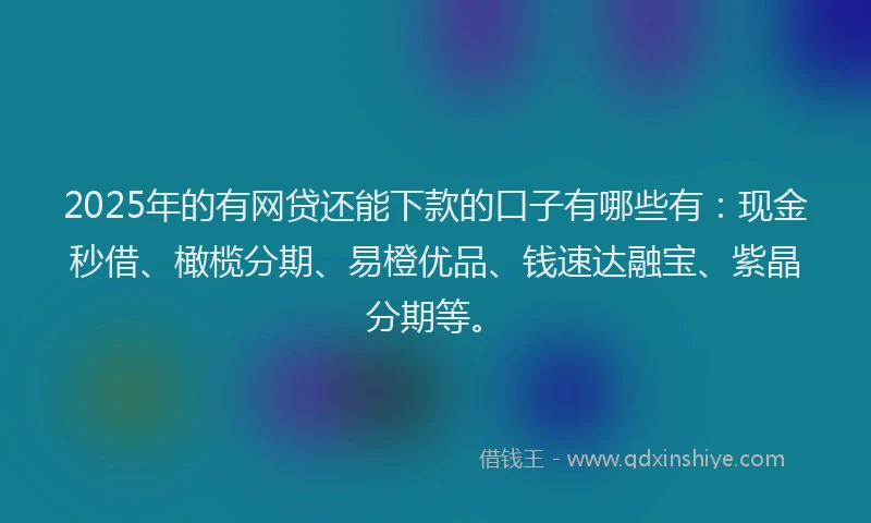 2025年的有网贷还能下款的口子有哪些有：现金秒借、橄榄分期、易橙优品、钱速达融宝、紫晶分期等。