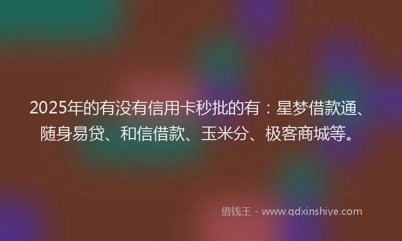 2025年的有没有信用卡秒批的有：星梦借款通、随身易贷、和信借款、玉米分、极客商城等。