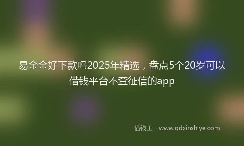 易金金好下款吗2025年精选，盘点5个20岁可以借钱平台不查征信的app