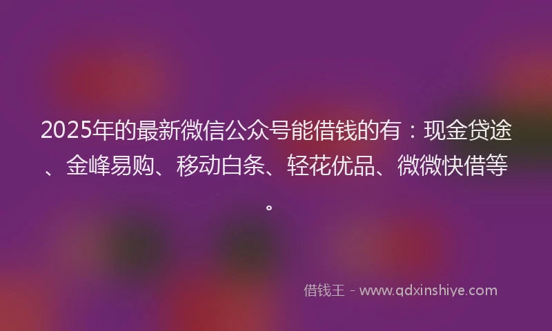2025年的最新微信公众号能借钱的有：现金贷途、金峰易购、移动白条、轻花优品、微微快借等。
