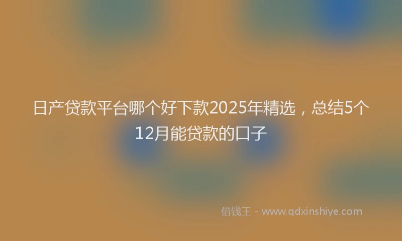 日产贷款平台哪个好下款2025年精选，总结5个12月能贷款的口子