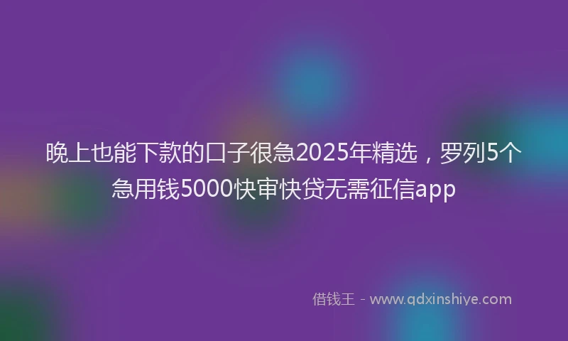 晚上也能下款的口子很急2025年精选，罗列5个急用钱5000快审快贷无需征信app