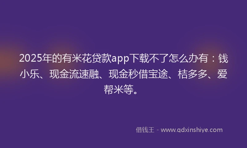 2025年的有米花贷款app下载不了怎么办有：钱小乐、现金流速融、现金秒借宝途、桔多多、爱帮米等。