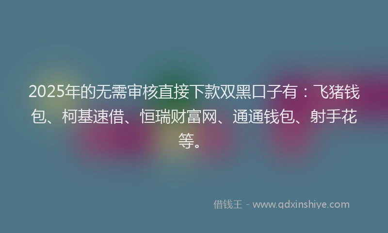 2025年的无需审核直接下款双黑口子有：飞猪钱包、柯基速借、恒瑞财富网、通通钱包、射手花等。