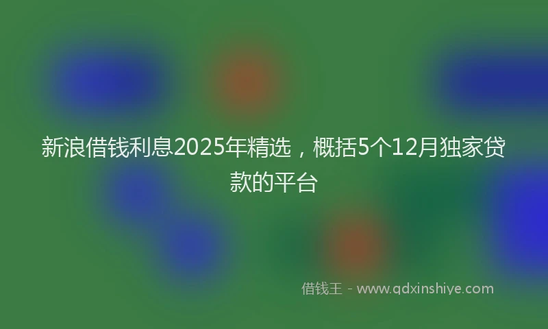 新浪借钱利息2025年精选，概括5个12月独家贷款的平台