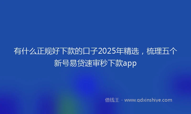 有什么正规好下款的口子2025年精选，梳理五个新号易贷速审秒下款app