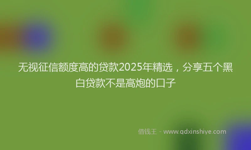 无视征信额度高的贷款2025年精选，分享五个黑白贷款不是高炮的口子