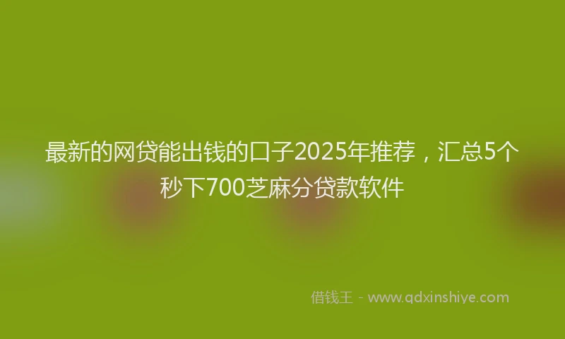 最新的网贷能出钱的口子2025年推荐，汇总5个秒下700芝麻分贷款软件