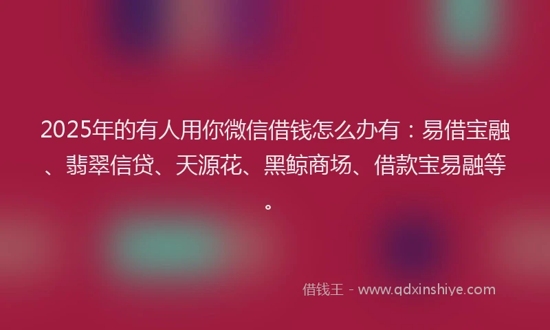 2025年的有人用你微信借钱怎么办有：易借宝融、翡翠信贷、天源花、黑鲸商场、借款宝易融等。