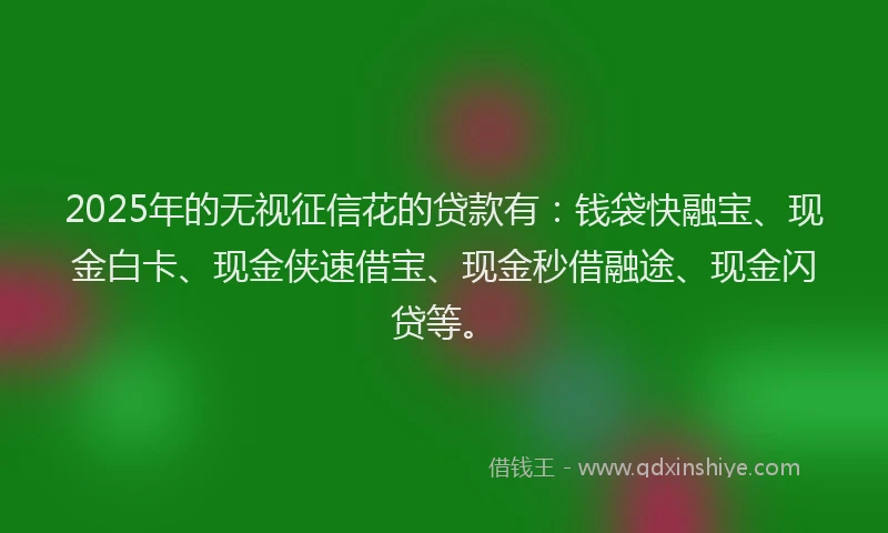 2025年的无视征信花的贷款有：钱袋快融宝、现金白卡、现金侠速借宝、现金秒借融途、现金闪贷等。