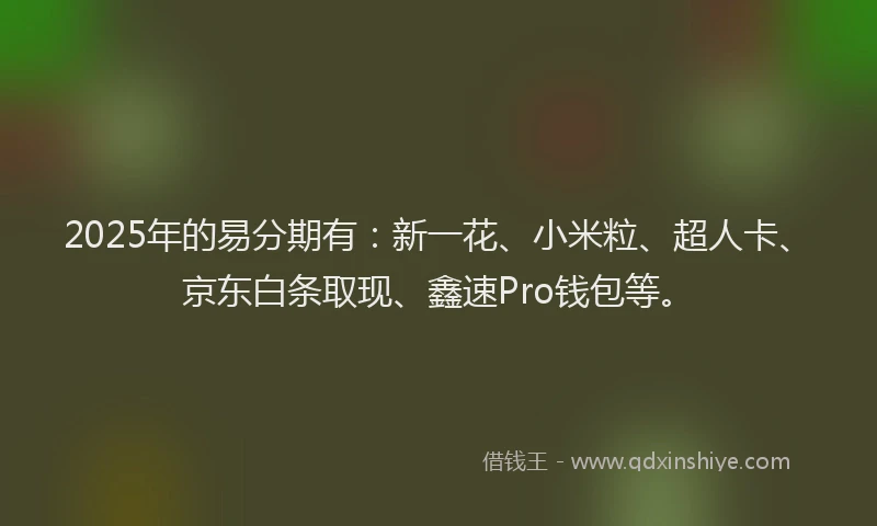 2025年的易分期有：新一花、小米粒、超人卡、京东白条取现、鑫速Pro钱包等。