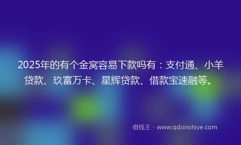 2025年的有个金窝容易下款吗有：支付通、小羊贷款、玖富万卡、星辉贷款、借款宝速融等。