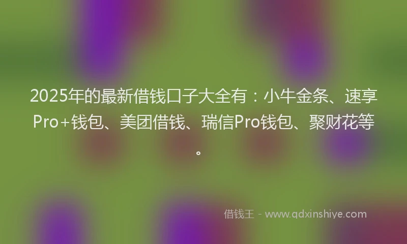 2025年的最新借钱口子大全有：小牛金条、速享Pro+钱包、美团借钱、瑞信Pro钱包、聚财花等。