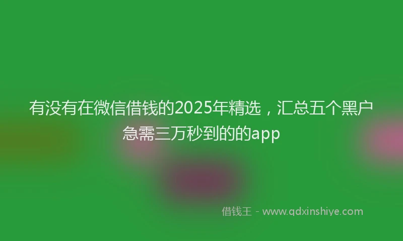 有没有在微信借钱的2025年精选，汇总五个黑户急需三万秒到的的app
