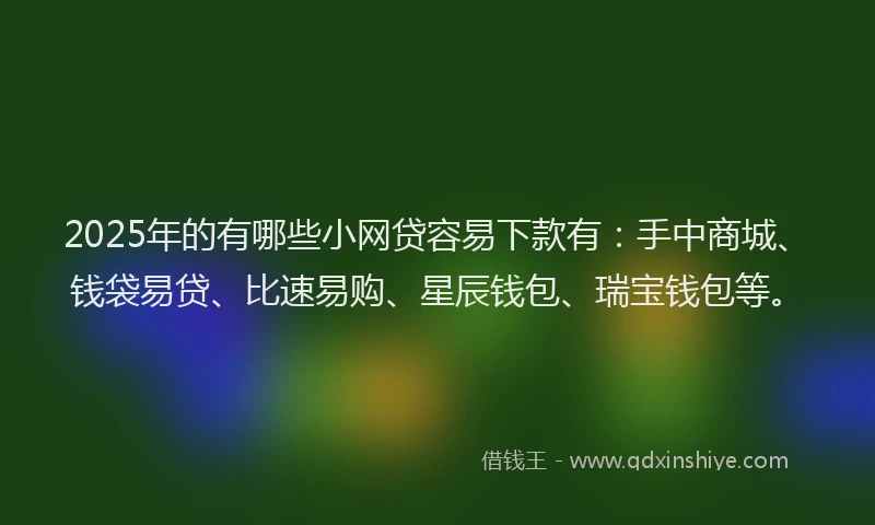 2025年的有哪些小网贷容易下款有：手中商城、钱袋易贷、比速易购、星辰钱包、瑞宝钱包等。