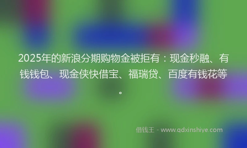 2025年的新浪分期购物金被拒有：现金秒融、有钱钱包、现金侠快借宝、福瑞贷、百度有钱花等。