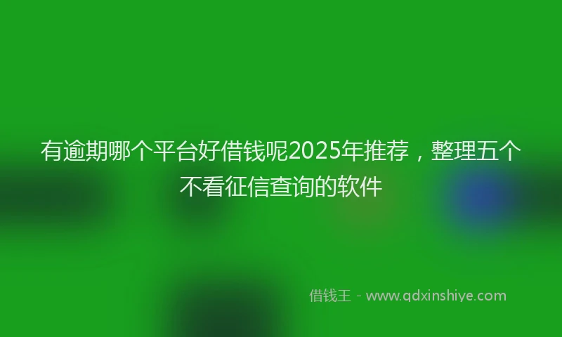 有逾期哪个平台好借钱呢2025年推荐，整理五个不看征信查询的软件