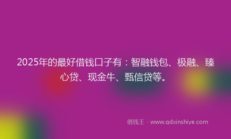 2025年的最好借钱口子有：智融钱包、极融、臻心贷、现金牛、甄信贷等。