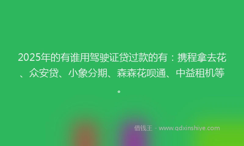 2025年的有谁用驾驶证贷过款的有：携程拿去花、众安贷、小象分期、森森花呗通、中益租机等。