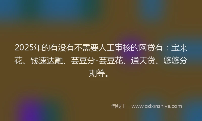 2025年的有没有不需要人工审核的网贷有：宝来花、钱速达融、芸豆分-芸豆花、通天贷、悠悠分期等。