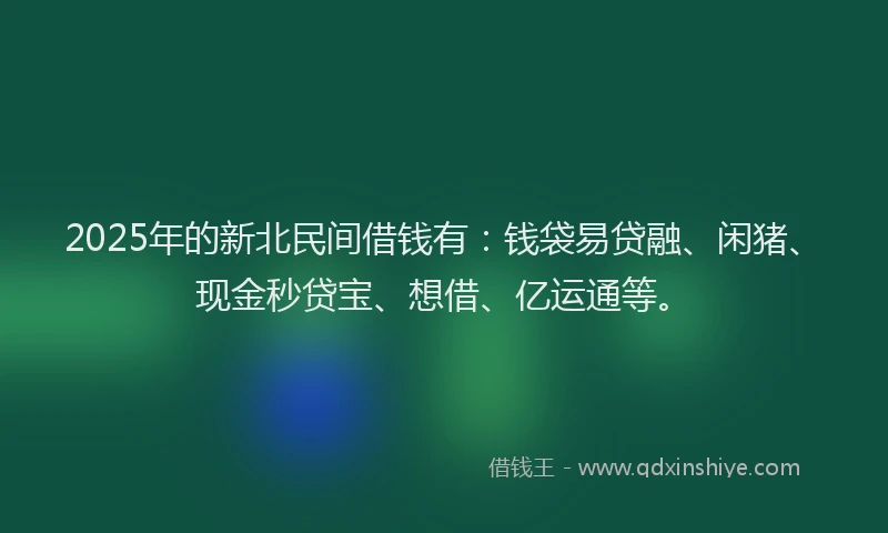 2025年的新北民间借钱有：钱袋易贷融、闲猪、现金秒贷宝、想借、亿运通等。