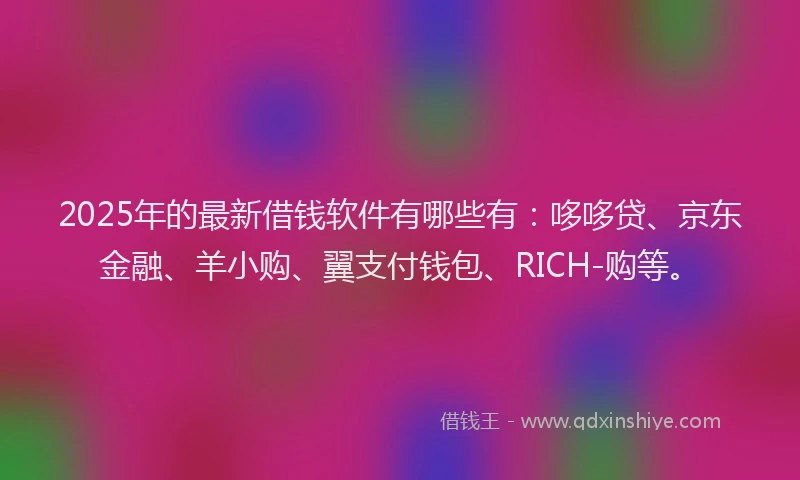 2025年的最新借钱软件有哪些有：哆哆贷、京东金融、羊小购、翼支付钱包、RICH-购等。