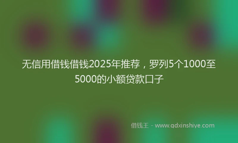 无信用借钱借钱2025年推荐，罗列5个1000至5000的小额贷款口子