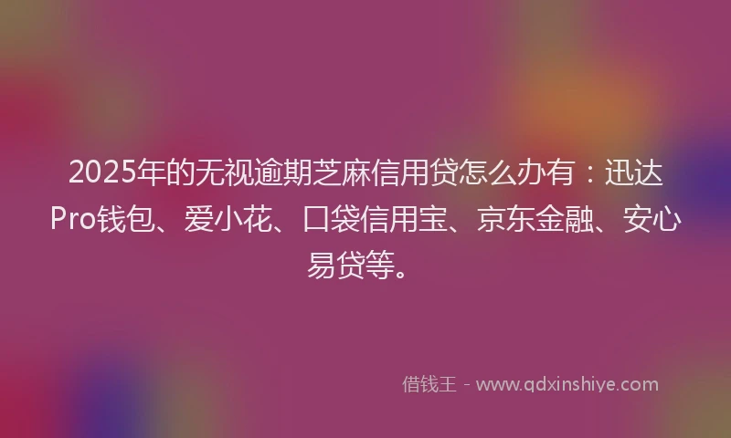 2025年的无视逾期芝麻信用贷怎么办有：迅达Pro钱包、爱小花、口袋信用宝、京东金融、安心易贷等。