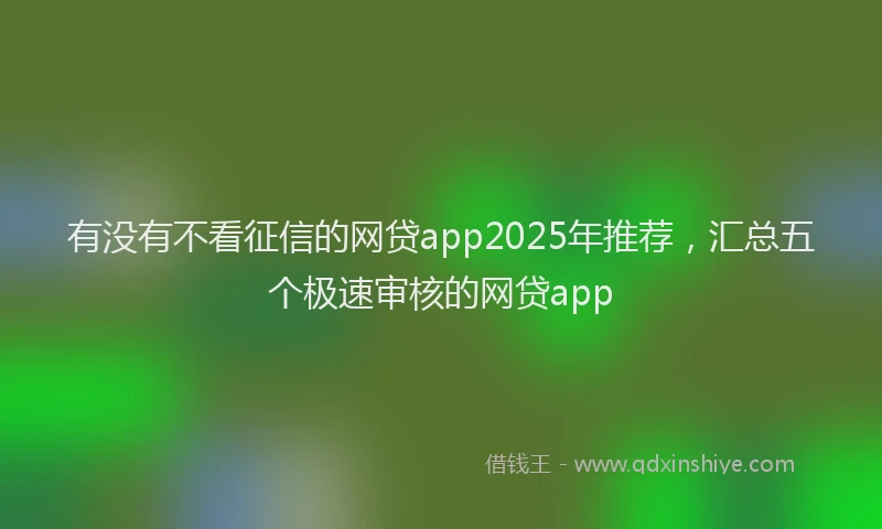 有没有不看征信的网贷app2025年推荐，汇总五个极速审核的网贷app