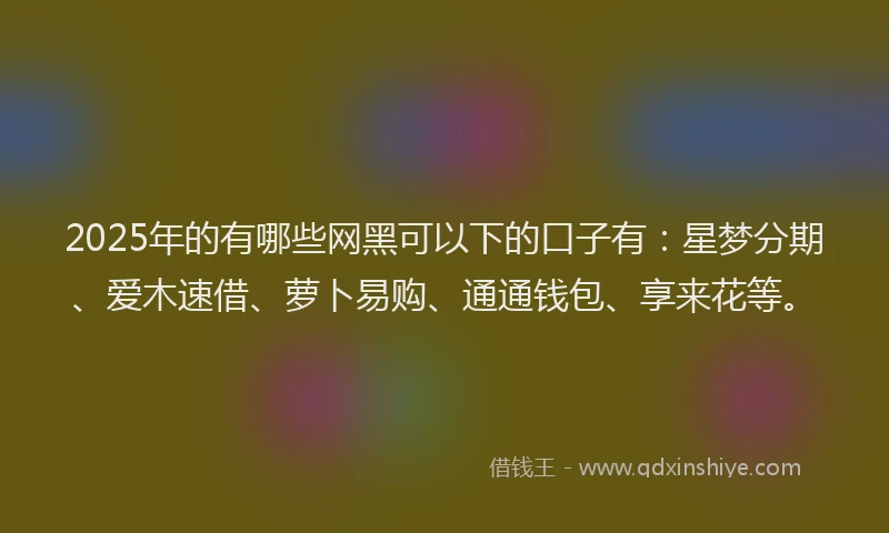 2025年的有哪些网黑可以下的口子有：星梦分期、爱木速借、萝卜易购、通通钱包、享来花等。
