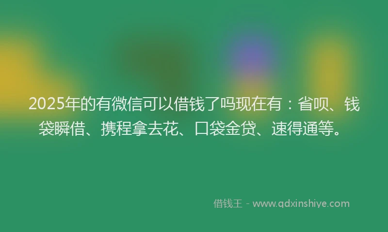 2025年的有微信可以借钱了吗现在有：省呗、钱袋瞬借、携程拿去花、口袋金贷、速得通等。