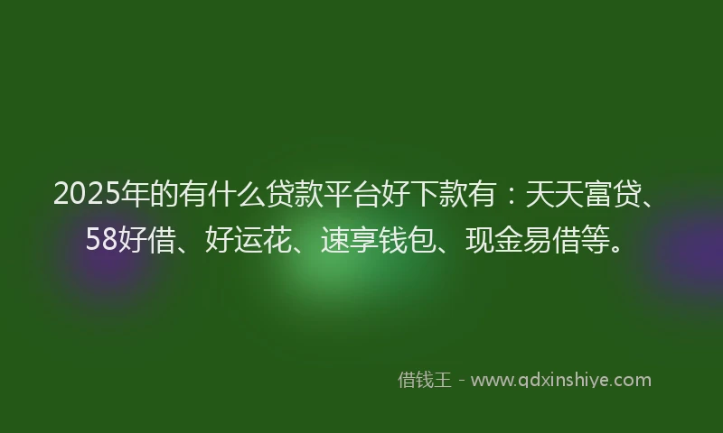 2025年的有什么贷款平台好下款有：天天富贷、58好借、好运花、速享钱包、现金易借等。
