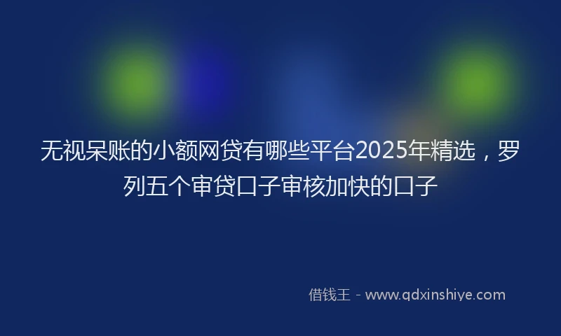 无视呆账的小额网贷有哪些平台2025年精选，罗列五个审贷口子审核加快的口子