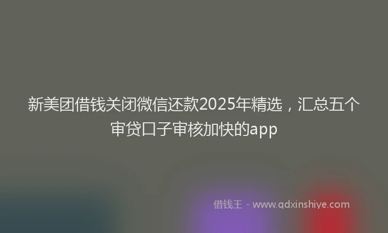 新美团借钱关闭微信还款2025年精选，汇总五个审贷口子审核加快的app