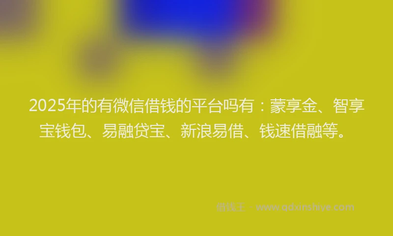 2025年的有微信借钱的平台吗有：蒙享金、智享宝钱包、易融贷宝、新浪易借、钱速借融等。