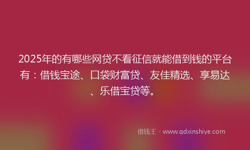 2025年的有哪些网贷不看征信就能借到钱的平台有：借钱宝途、口袋财富贷、友佳精选、享易达、乐借宝贷等。