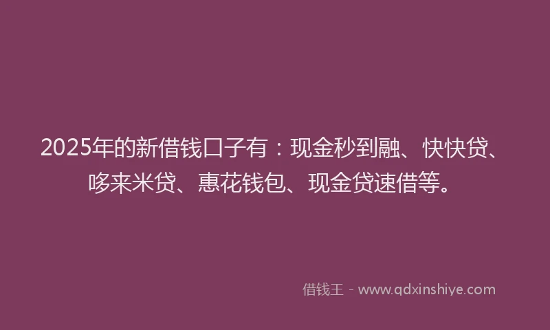 2025年的新借钱口子有：现金秒到融、快快贷、哆来米贷、惠花钱包、现金贷速借等。