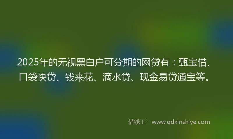 2025年的无视黑白户可分期的网贷有：甄宝借、口袋快贷、钱来花、滴水贷、现金易贷通宝等。