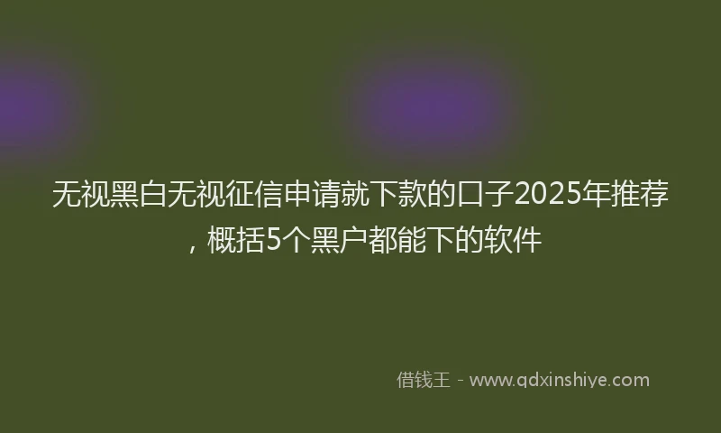 无视黑白无视征信申请就下款的口子2025年推荐，概括5个黑户都能下的软件