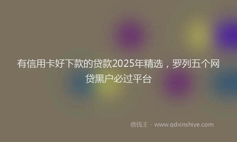 有信用卡好下款的贷款2025年精选，罗列五个网贷黑户必过平台