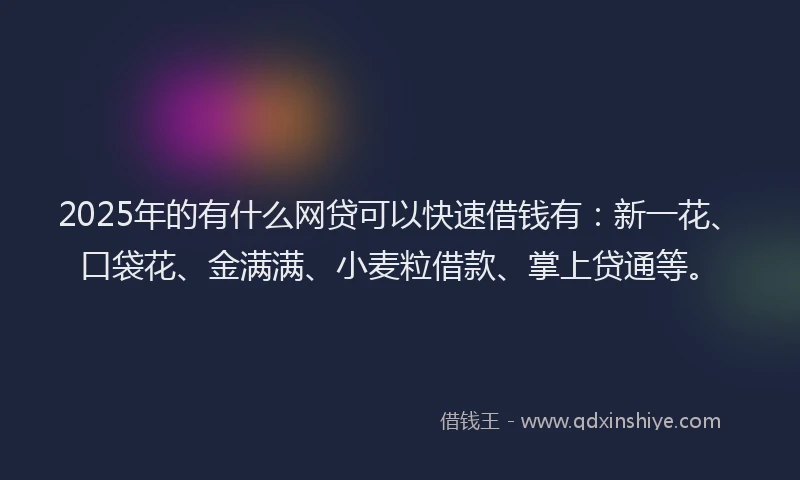 2025年的有什么网贷可以快速借钱有：新一花、口袋花、金满满、小麦粒借款、掌上贷通等。