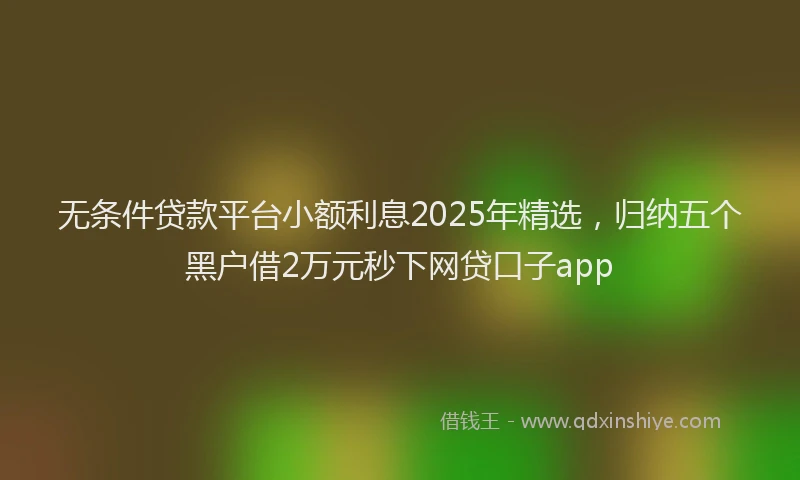 无条件贷款平台小额利息2025年精选，归纳五个黑户借2万元秒下网贷口子app