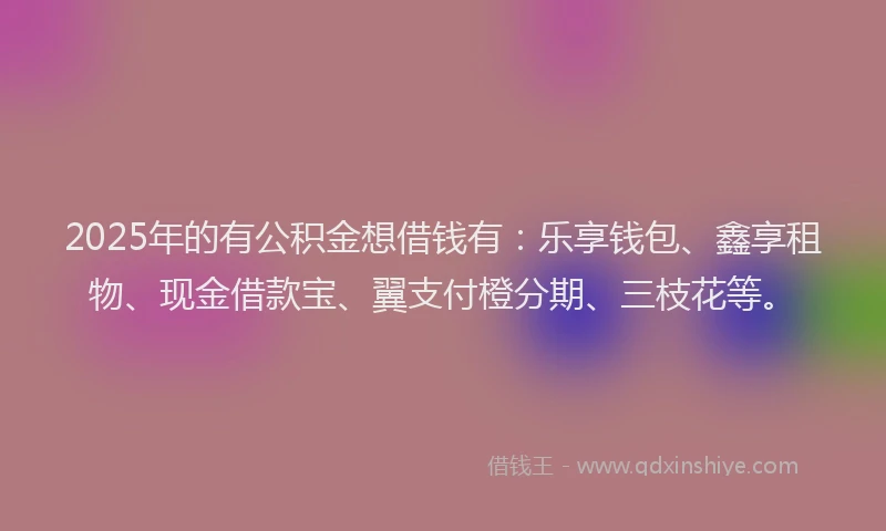 2025年的有公积金想借钱有：乐享钱包、鑫享租物、现金借款宝、翼支付橙分期、三枝花等。