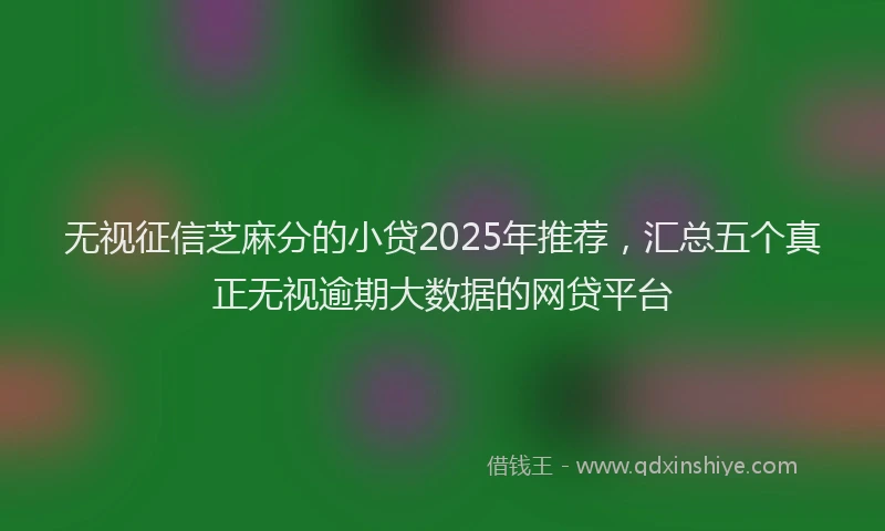 无视征信芝麻分的小贷2025年推荐，汇总五个真正无视逾期大数据的网贷平台