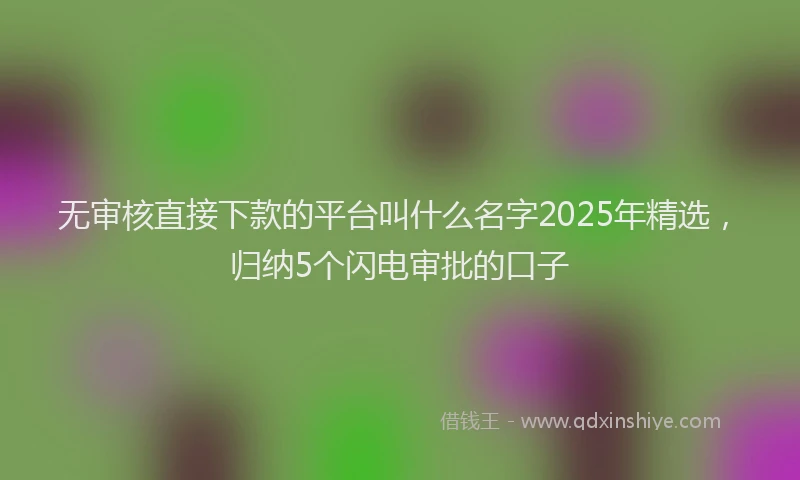 无审核直接下款的平台叫什么名字2025年精选，归纳5个闪电审批的口子