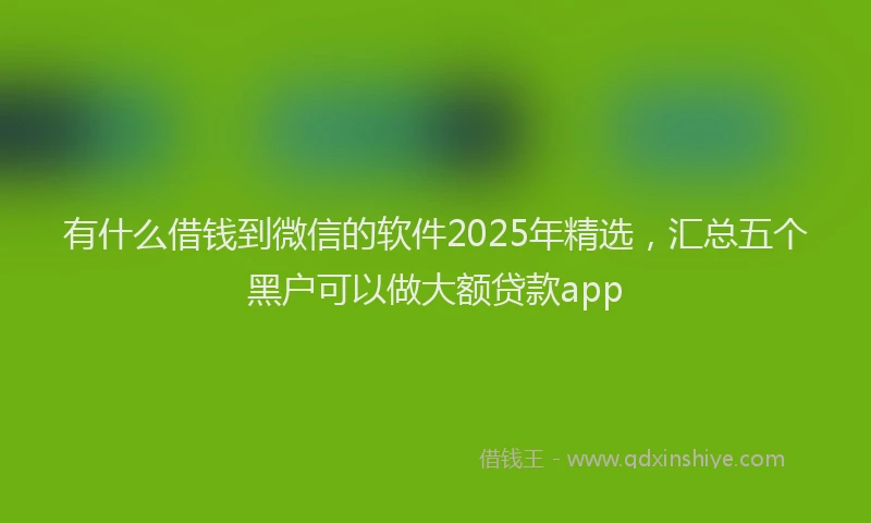 有什么借钱到微信的软件2025年精选，汇总五个黑户可以做大额贷款app