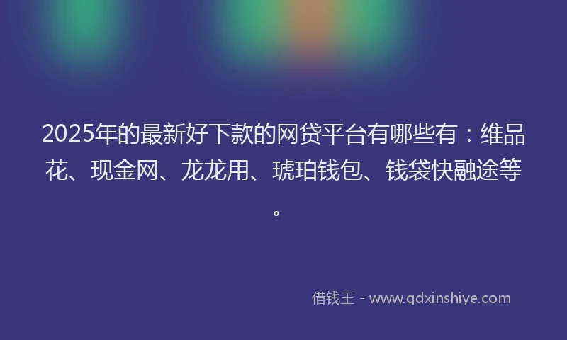 2025年的最新好下款的网贷平台有哪些有：维品花、现金网、龙龙用、琥珀钱包、钱袋快融途等。